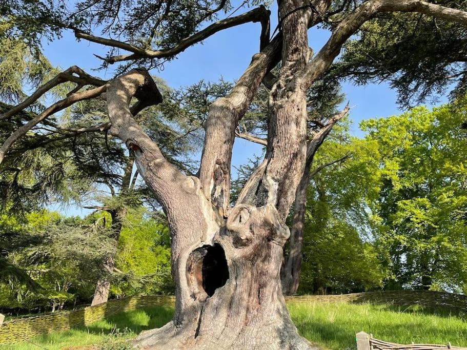 Masons Cottage, An Idyllic Retreat In An Area Of Outstanding Beauty, Close To Blenheim Palace, Oxford & The Cotswolds Stonesfield Zewnętrze zdjęcie